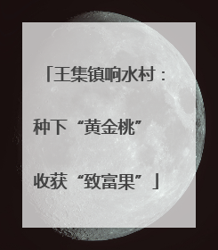 王集镇响水村：种下“黄金桃” 收获“致富果”