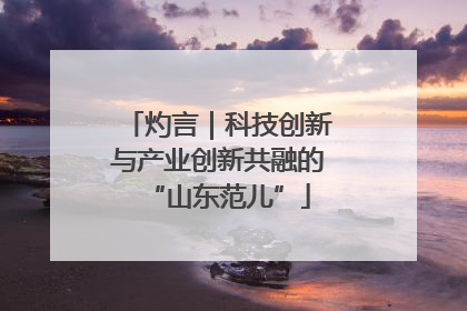 灼言｜科技创新与产业创新共融的“山东范儿”
