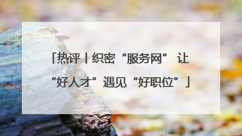 热评丨织密“服务网” 让“好人才”遇见“好职位”
