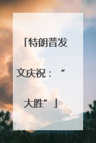 特朗普发文庆祝：“大胜”