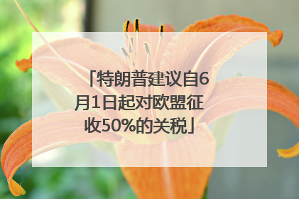 特朗普建议自6月1日起对欧盟征收50%的关税