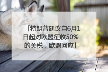 特朗普建议自6月1日起对欧盟征收50%的关税，欧盟回应