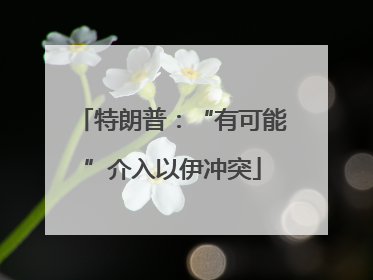 特朗普：“有可能”介入以伊冲突