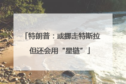 特朗普：或挪走特斯拉 但还会用“星链”