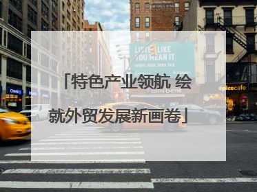 特色产业领航 绘就外贸发展新画卷