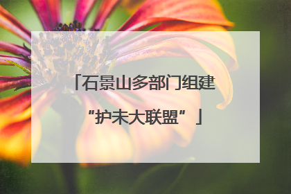 石景山多部门组建“护未大联盟”
