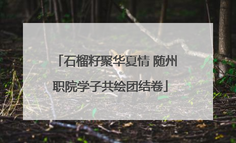 石榴籽聚华夏情 随州职院学子共绘团结卷