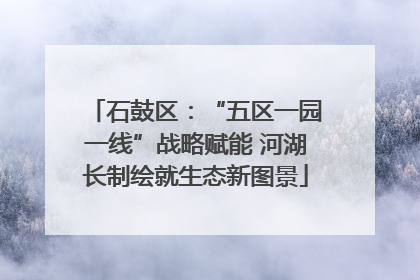 石鼓区：“五区一园一线”战略赋能 河湖长制绘就生态新图景