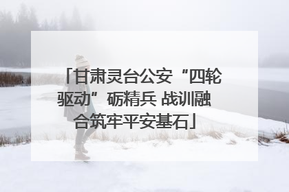 甘肃灵台公安“四轮驱动”砺精兵 战训融合筑牢平安基石