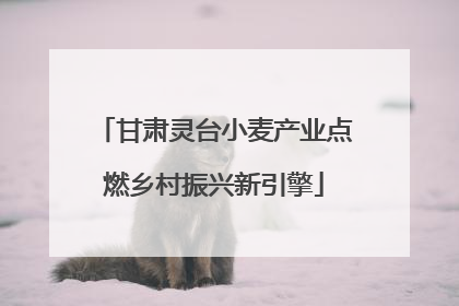 甘肃灵台小麦产业点燃乡村振兴新引擎