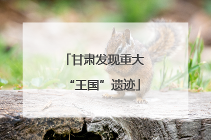 甘肃发现重大“王国”遗迹