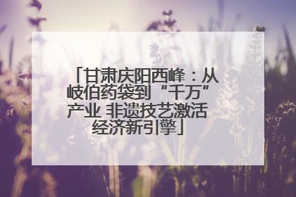 甘肃庆阳西峰：从岐伯药袋到“千万”产业 非遗技艺激活经济新引擎