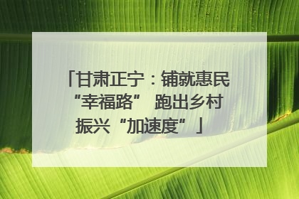 甘肃正宁：铺就惠民“幸福路” 跑出乡村振兴“加速度”