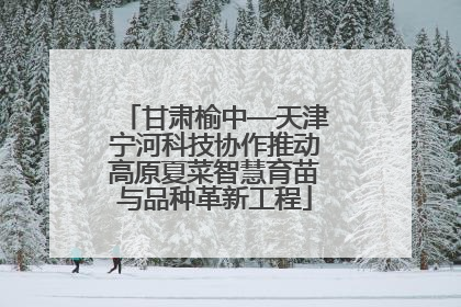 甘肃榆中—天津宁河科技协作推动高原夏菜智慧育苗与品种革新工程