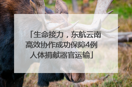 生命接力，东航云南高效协作成功保障4例人体捐献器官运输