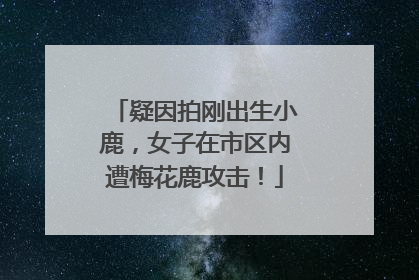 疑因拍刚出生小鹿，女子在市区内遭梅花鹿攻击！