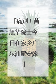 痛别！黄旭华院士今日在家乡广东汕尾安葬