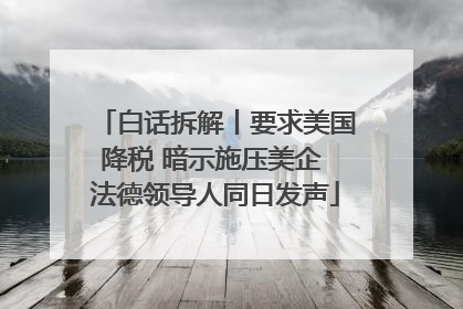 白话拆解丨要求美国降税 暗示施压美企 法德领导人同日发声