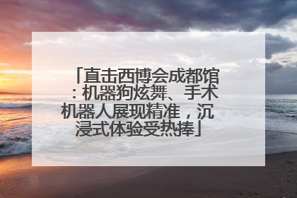 直击西博会成都馆：机器狗炫舞、手术机器人展现精准，沉浸式体验受热捧