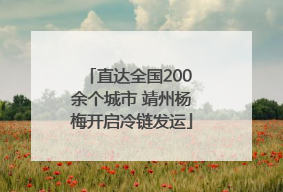 直达全国200余个城市 靖州杨梅开启冷链发运