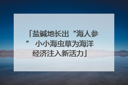 盐碱地长出“海人参” 小小海虫草为海洋经济注入新活力