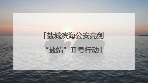 盐城滨海公安亮剑“盐靖”Ⅱ号行动