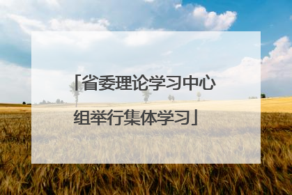 省委理论学习中心组举行集体学习