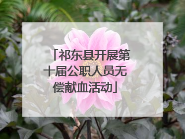 祁东县开展第十届公职人员无偿献血活动