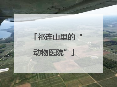 祁连山里的“动物医院”