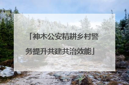 神木公安精耕乡村警务提升共建共治效能