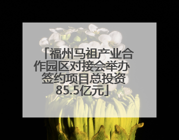 福州马祖产业合作园区对接会举办 签约项目总投资85.5亿元