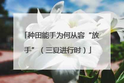 种田能手为何从容“放手”（三夏进行时）