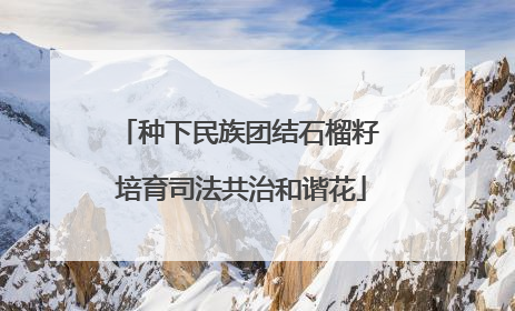 种下民族团结石榴籽 培育司法共治和谐花