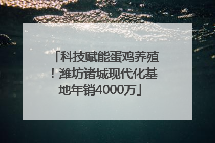 科技赋能蛋鸡养殖！潍坊诸城现代化基地年销4000万