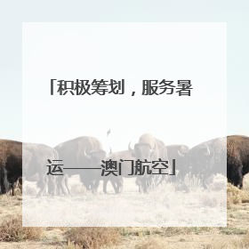 积极筹划，服务暑运——澳门航空