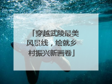 穿越武陵最美风景线，绘就乡村振兴新画卷
