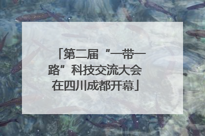 第二届“一带一路”科技交流大会在四川成都开幕