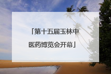 第十五届玉林中医药博览会开幕