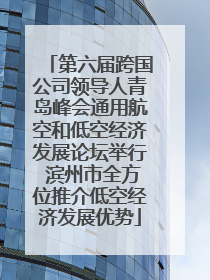第六届跨国公司领导人青岛峰会通用航空和低空经济发展论坛举行 滨州市全方位推介低空经济发展优势