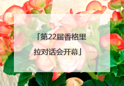 第22届香格里拉对话会开幕