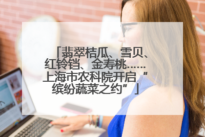 翡翠桔瓜、雪贝、红铃铛、金寿桃……上海市农科院开启“缤纷蔬菜之约”