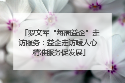 罗文军“每周益企”走访服务：益企走访暖人心 精准服务促发展