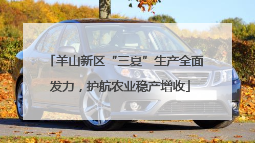 羊山新区“三夏”生产全面发力，护航农业稳产增收
