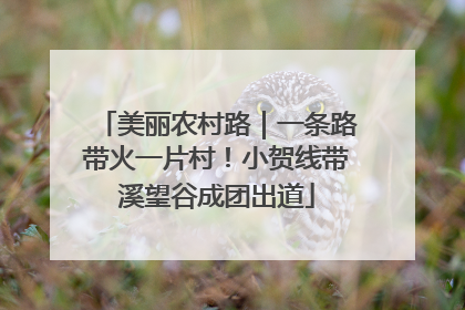 美丽农村路｜一条路带火一片村！小贺线带溪望谷成团出道