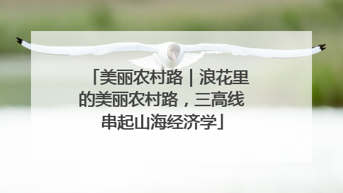美丽农村路｜浪花里的美丽农村路，三高线串起山海经济学