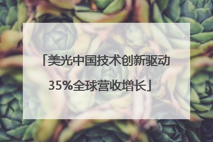 美光中国技术创新驱动35%全球营收增长