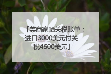 美商家晒关税账单：进口3000美元付关税4600美元