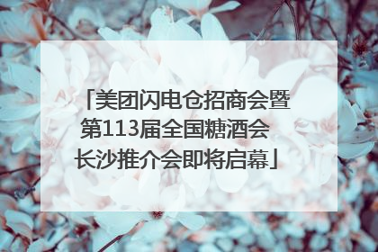 美团闪电仓招商会暨第113届全国糖酒会长沙推介会即将启幕