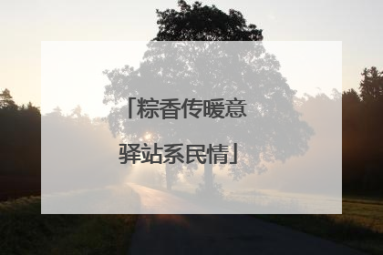 粽香传暖意 驿站系民情