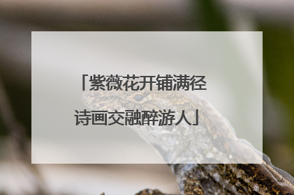 紫薇花开铺满径 诗画交融醉游人